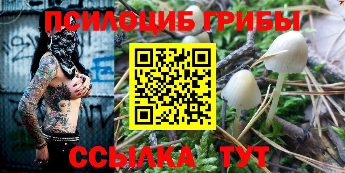 Псилоцибиновые грибы Magic Shrooms Калач-на-Дону